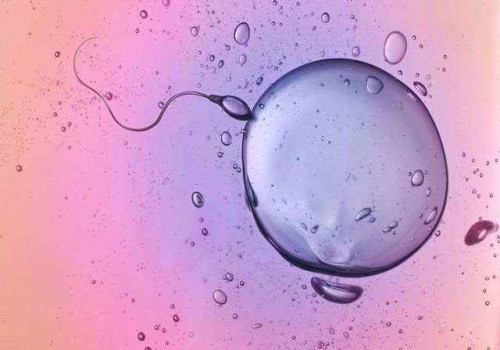 枣庄市妇幼保健院试管婴儿科普知识导航，附三代成功率预估