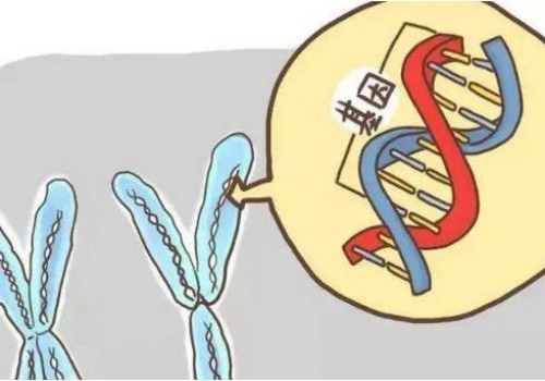 深圳试管助孕公司：同房一次就怀孕的几率大吗,如何提高怀孕的成功率