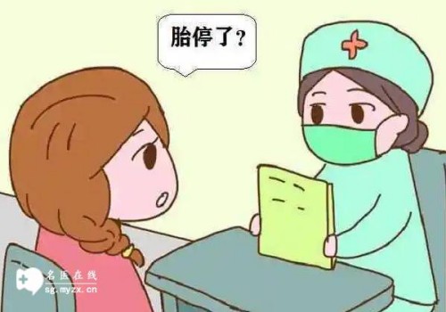 试管婴儿期间能吃冷水果吗,试管移植前需要注意什么