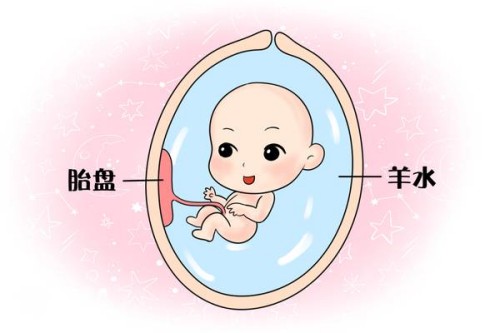 2023江山市妇幼保健院试管婴儿指引手册，费用及成功率参考