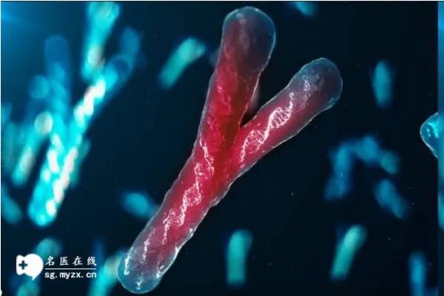 公立医院大排畸不建议超过24周做，最佳检查时间别错过