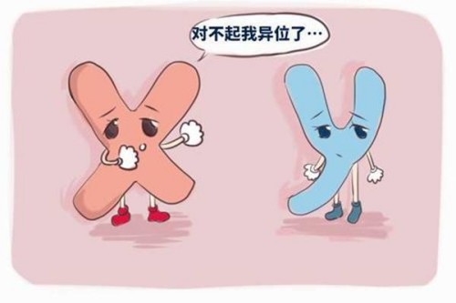 深圳试管助孕公司：染色体异常的危害及后果，不仅多样性还潜藏危险