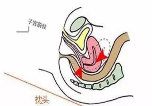 生孩子赶节气的忌讳所在你知道吗？