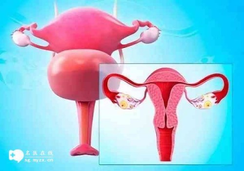 深圳正规助孕机构：2023菏泽市立医院试管婴儿助孕攻略，费用清单及成功率参考