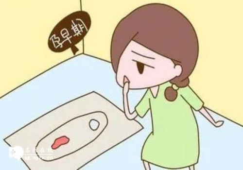 男性染色体y缺失做试管,能否顺利成功
