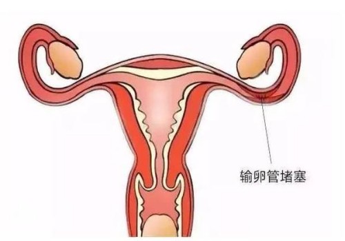 深圳试管助孕公司：一直吃黄体酮催经好吗,对女性的危害可真不小