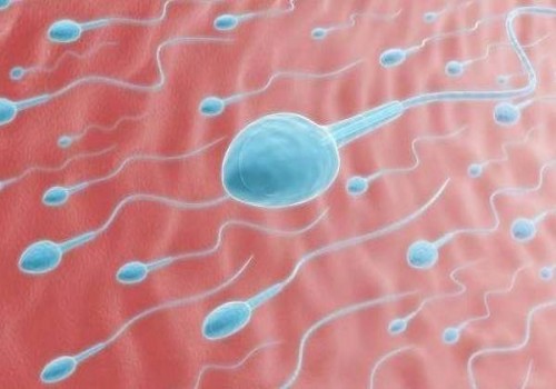 深圳试管婴儿价格：多囊怎么调理才能怀孕，这五个调理多囊的方法不要错过
