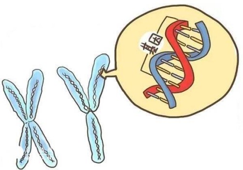 精子活动率低怎么办？若想提高受孕率，这些方法不容错过