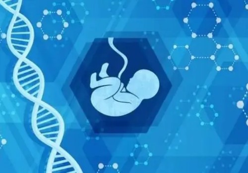深圳三代试管助孕：设有合法的卵子库的国家有哪些-为什么国内没有-